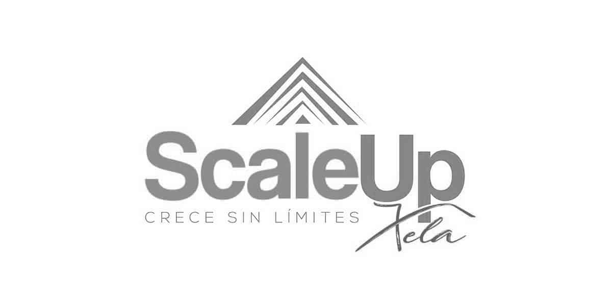 Recomendación Diseño Logo Scaleup